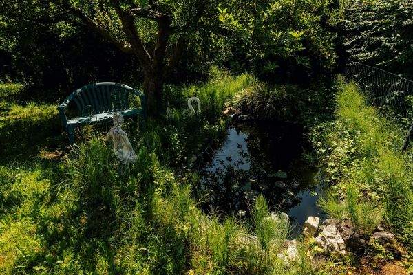 beschaulicher, kleiner Teich