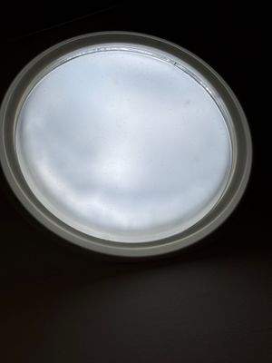 Decken-Spot (Tageslicht) im Gäste-WC