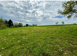 Screenshot 2025-07-19 065840.png