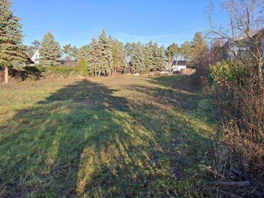 rechter Grundstücksseite von vorn