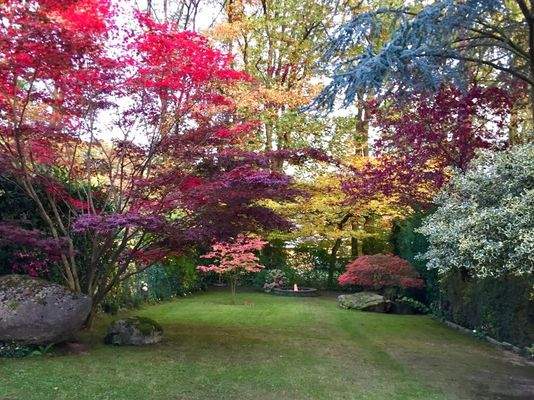 Gartenansicht Sommer