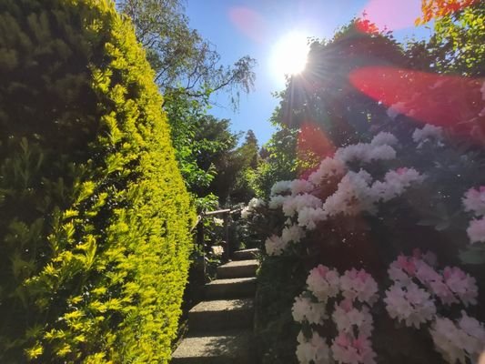 Detailansicht Gartenaufgang