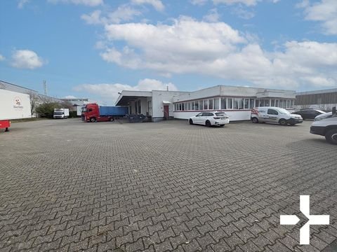 Mönchengladbach Halle, Mönchengladbach Hallenfläche