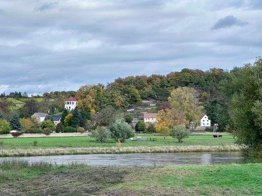 Blick zu den Weinhängen und Elbe