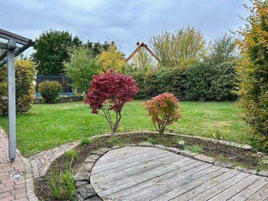 Blick in den eingewachsenen Garten