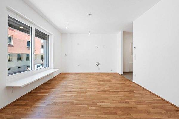 PMP456-AN-24955-Top 09-036