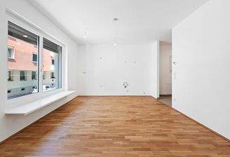 PMP456-AN-24955-Top 09-036