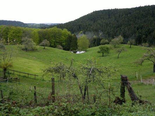 Grundstücksservice für Baufamilien