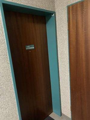 Wohnungseingangstür.jpg