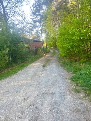 IMG_0095.jpg