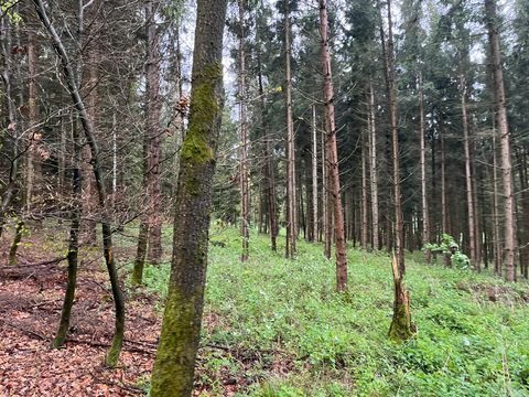 Nandlstadt Bauernhöfe, Landwirtschaft, Nandlstadt Forstwirtschaft