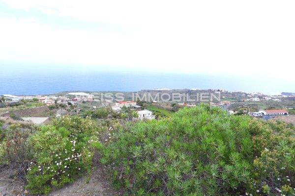 Finca mit Meerblick in niedriger Höhenlage