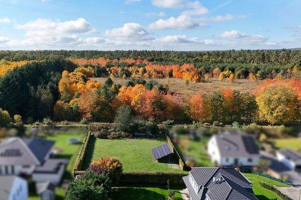 2. Grundstück (optional!)