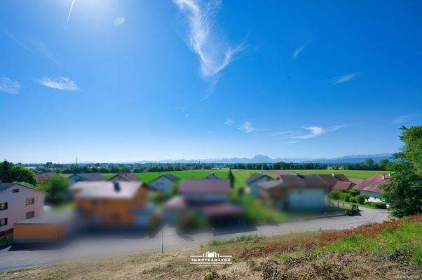 Der Ausblick
