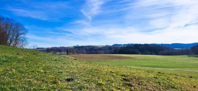 Über die Wiesen und Wälder