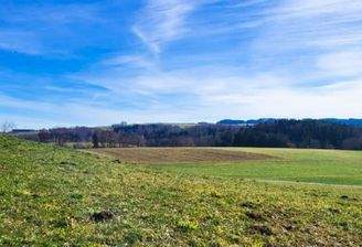 Über die Wiesen und Wälder