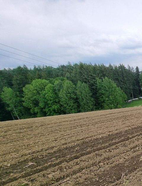 Altötting Bauernhöfe, Landwirtschaft, Altötting Forstwirtschaft