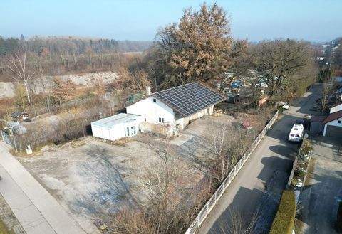 Greifenberg Halle, Greifenberg Hallenfläche