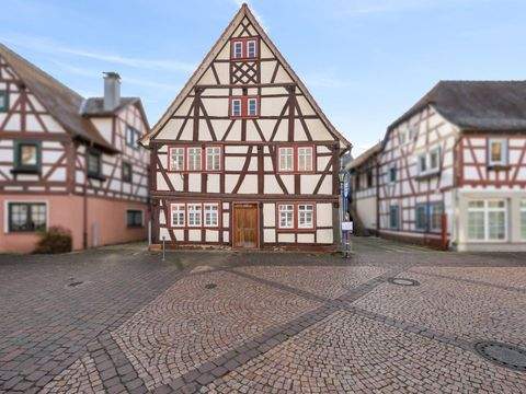 Breuberg Häuser, Breuberg Haus kaufen
