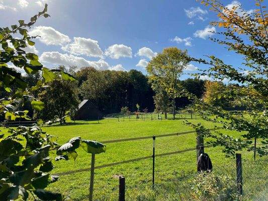 Blick über die Pferdekoppeln