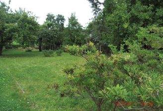 Grundstücksservice für Baufamilien