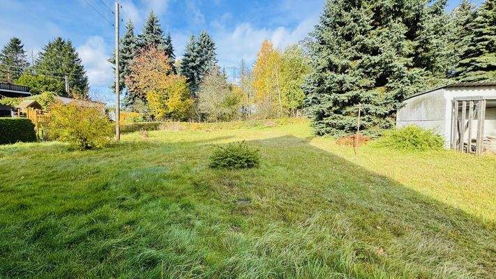 Großzügiger Garten