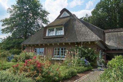 Wingst Häuser, Wingst Haus mieten 