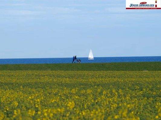 Ausspannen direkt am Meer 