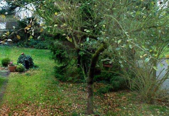 Garten mit Gartenhaus / Terrasse