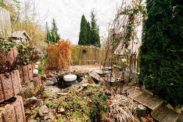 Außenanlage mit Teich_DG