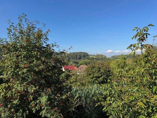 Blick aus dem ersten OG in den Garten