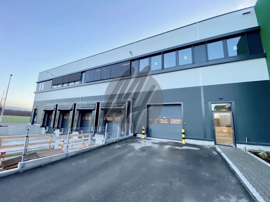 INFOS UNTER: 06171-586000