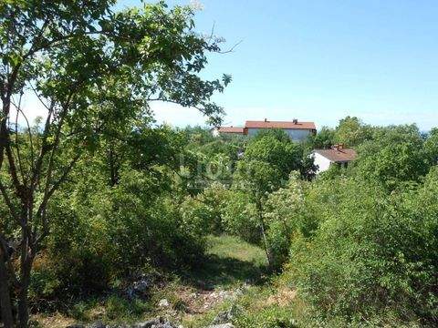 Drenova Bauernhöfe, Landwirtschaft, Drenova Forstwirtschaft