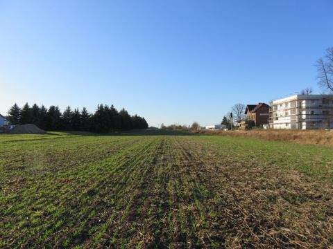 Tauche Grundstücke, Tauche Grundstück kaufen