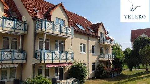 Leisnig Wohnungen, Leisnig Wohnung mieten