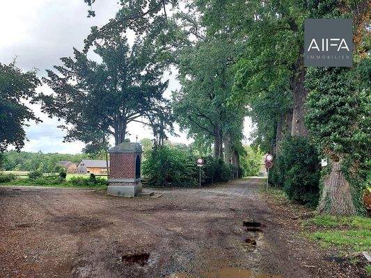 Blick ins Naturschutzgebiet