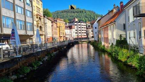 Bad Wildbad im Schwarzwald Renditeobjekte, Mehrfamilienhäuser, Geschäftshäuser, Kapitalanlage