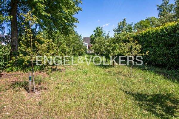 Blick über das Grundstück