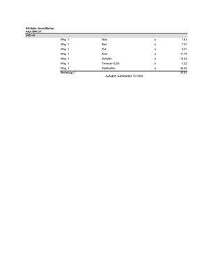 Netto Grundfläche  2023-01.jpg