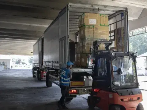 Heidenau Halle, Heidenau Hallenfläche