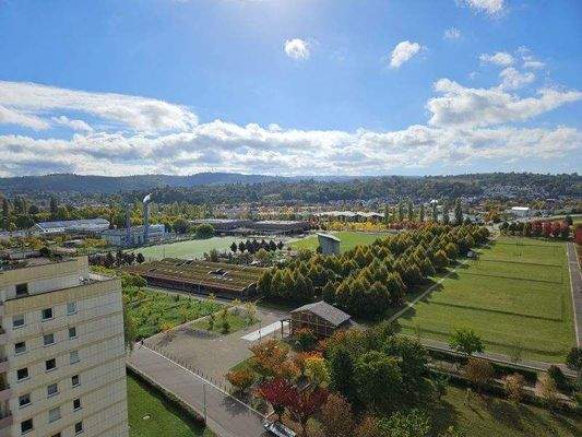 Blick zur LGA und Schwarzwald.jpg