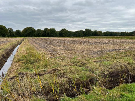 Ansicht von Nordosten