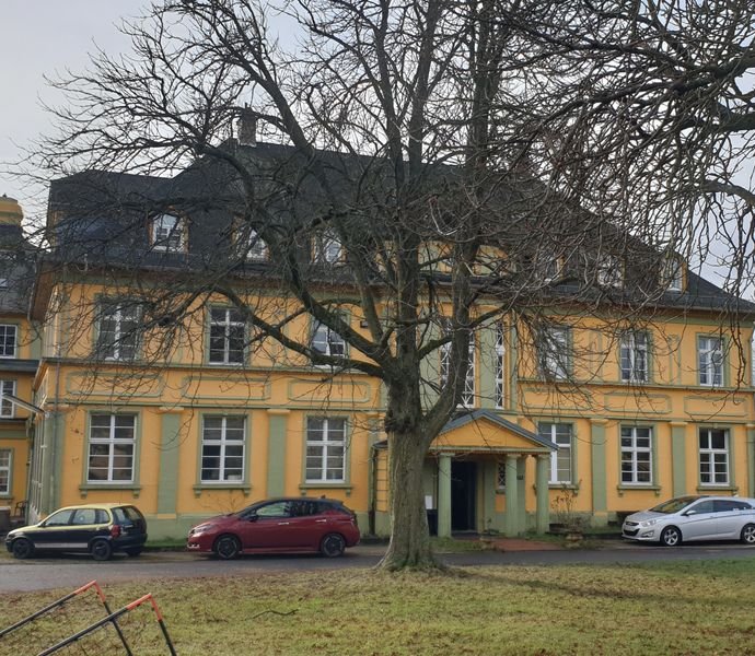 2 Zimmer Wohnung in Waldalgesheim