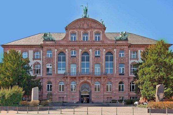Senckenberg Museum.jpg