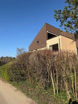 Hausansicht Dach-Terrasse (2)