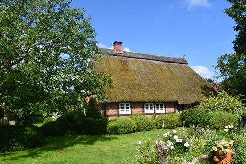 Asendorf Häuser, Asendorf Haus kaufen