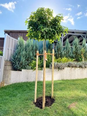 Gartenansicht.JPG