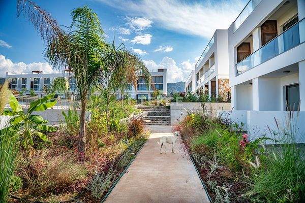 Apartments Within Walking Distance to the Sea in North Cyprus Girne