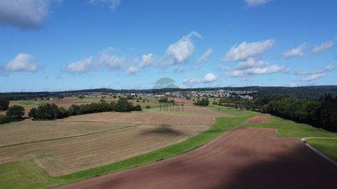 Mosbach / Sattelbach Bauernhöfe, Landwirtschaft, Mosbach / Sattelbach Forstwirtschaft