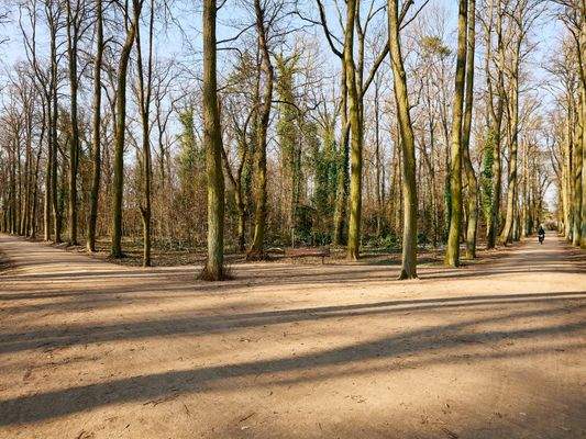 Umgebung Heinrich-Laehr-Park